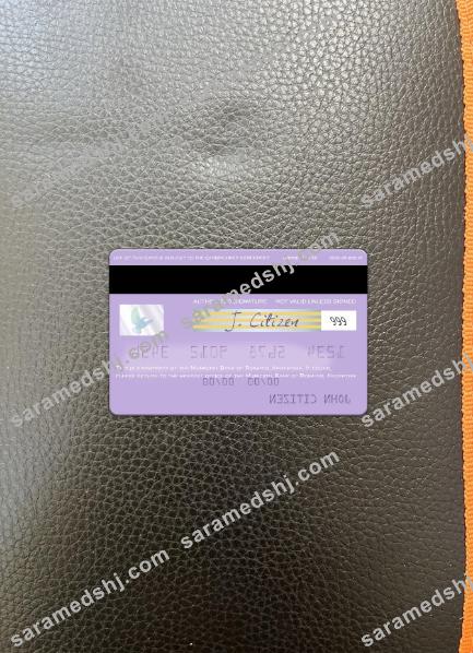 Argentina Municipal Bank of Rosario visa card photolook back